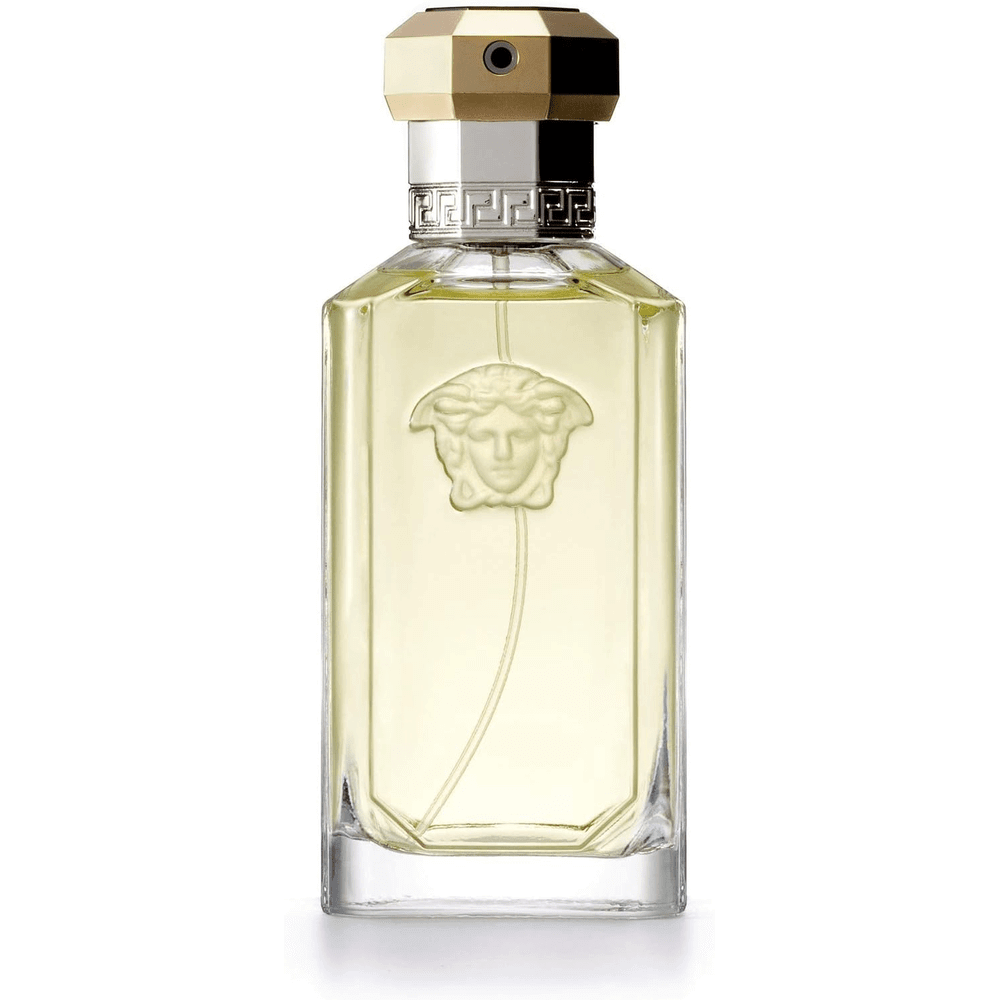 Edt 100ml Versace The Dreamer 100ml Price Dreamer Cologne Versace