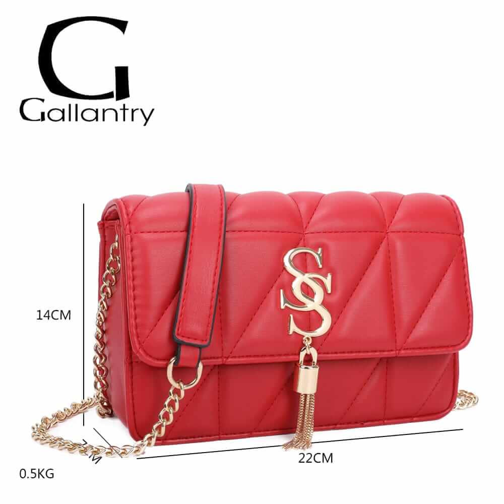 Chain Embellished Bags